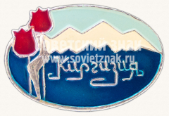 АВЕРС: Знак «Киргизия. Республика ССР» № 15562а