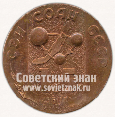 Настольная медаль «15 лет работы СЭИ СОАН СССР»