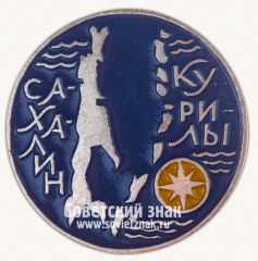 АВЕРС: Знак «Остров Сахалин. Курилы» № 15433а