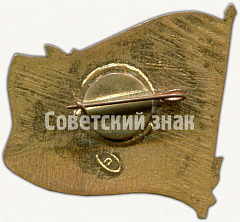 РЕВЕРС: Знак «VI съезда учителей Туркменской ССР. Ашхабад. 1960» № 5648а