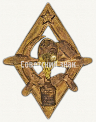 РЕВЕРС: Знак-эмблема общества АВИАХИМ № 9734а