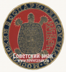 Знак «Черепаха. Серия знаков «Московский зоопарк фауна Африки»»