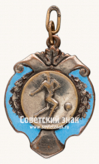 АВЕРС: Знак «За хорошую тренировку футболистов. 1935» № 17666а