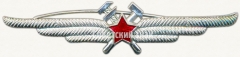 АВЕРС: Нагрудный знак специалиста инженерно-авиационной службы (ИАС) № 5917г