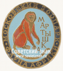 Знак «Мартышка. Серия знаков «Московский зоопарк фауна Африки»»