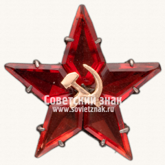Знак в виде звезды с эмблемой «Серп и молот»
