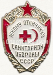 АВЕРС: Знак «Юному отличнику санитарной обороны СССР» № 820г