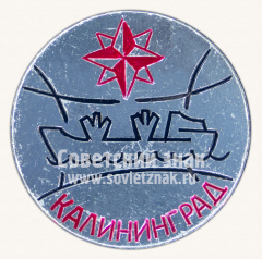 Знак «Город Калининград»