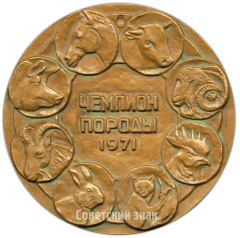 АВЕРС: Настольная медаль «Всесоюзный конкурс племенного животноводства и птицеводства. Чемпион породы. 1971» № 4786а