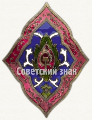 АВЕРС: Знак «Герою революции» («За борьбу с басмачеством») Узбекской ССР, тип 2 № 8142а
