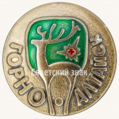 АВЕРС: Знак «Город Западной Сибири. Горно-Алтайск» № 7524а