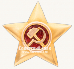 Знак «Золотая звезда Героя Труда Ленинградского кожтреста»