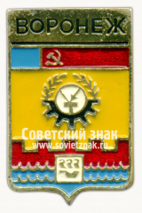 Знак «Город Воронеж»