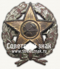 Знак командира Рабоче-крестьянской Красной Армии. Тип 17
