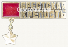 АВЕРС: Знак «Брестская крепость. «Крепость-герой». Тип 5» № 9881а
