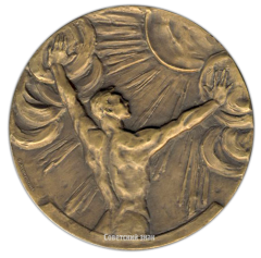 АВЕРС: Настольная медаль «Всемирный конгресс за всеобщее разоружение и мир» № 1761а