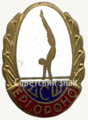 Знак «Детская спортивная школа (ДСШ). Ереванского городского отдела народного образования (Ергороно)»