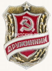 АВЕРС: Знак «Дружинник. Тип 5» № 9371д
