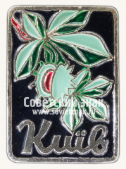 АВЕРС: Знак «Город Киев. Украинская ССР» № 15198а
