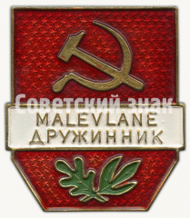 АВЕРС: Знак «Дружинник (Malevlane)» № 8469б