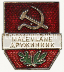 АВЕРС: Знак «Дружинник (Malevlane)» № 8469в