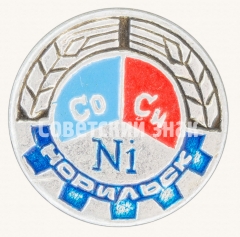 Знак «Город Норильск. Тип 4»