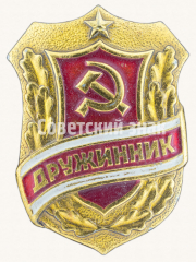 АВЕРС: Знак «Дружинник. Тип 5» № 9371г