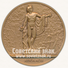 Настольная медаль «Скульптура летнего сада. 300 лет. Санкт-Петербург. Аполлон»