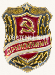 АВЕРС: Знак «Дружинник. Тип 5» № 9371е