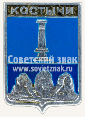 Знак «Город Костычи. Симбирская губерния»