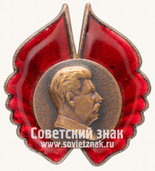 АВЕРС: Знак с изображением И.В. Сталина № 13891а
