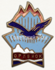Знак пионерского лагеря «Орлёнок»