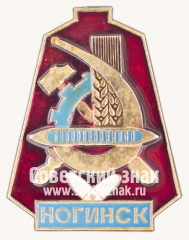 Знак «Город Ногинск. Московская область»