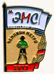 Знак «﻿Чемпион метро. ЭМС (Электромеханическая служба). 2013»