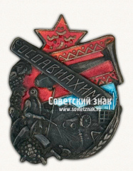 Знак «ОСОАВИАХИМ Туркменской ССР»