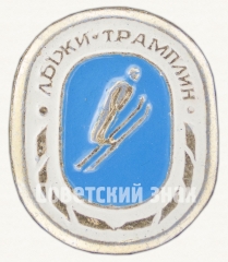 АВЕРС: Знак «Лыжи. Трамплин» № 9092а