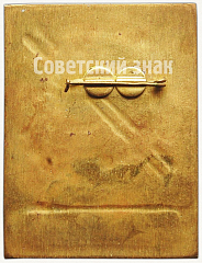 РЕВЕРС: Знак «Профсоюзно-комсомольский лыжный кросс. 1976. ВЦСПС» № 5840а