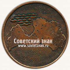 РЕВЕРС: Настольная медаль «Ветеран предприятия «Dailrade»» № 13174а