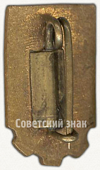 РЕВЕРС: Членский знак ДСО «Труд». Тип 1 № 5463б