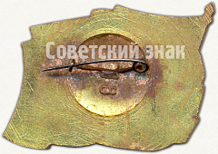 РЕВЕРС: Знак «XX съезд компартии Таджикистана» № 5595а
