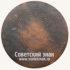 РЕВЕРС: Настольная медаль «Москва. Северный административный округ» № 13291а
