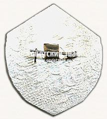 РЕВЕРС: Знак «50 лет элетродепо «Северное». 1935-1985» № 17602а