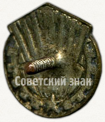 РЕВЕРС: Членский знак ДСО «Салют» № 5208а