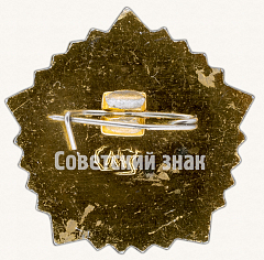 РЕВЕРС: Знак «Готов к труду и обороне СССР (ГТО). V ступень» № 7599а