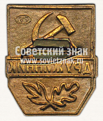 РЕВЕРС: Знак «Дружинник. Тип 3» № 10009а