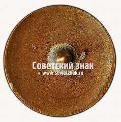 РЕВЕРС: Знак «Республиканская коллегия судей по спорту» № 9757а
