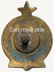 РЕВЕРС: Членский знак ДСО «NOORUS» (Юность). Тип 1 № 5381а