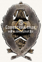 РЕВЕРС: Знак для окончивших Всеукраинскую школу Комсостава милиции. IX выпуск № 11568а