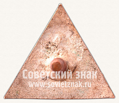 РЕВЕРС: Членский знак ДСО «Локомотив» № 5254б