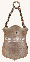 РЕВЕРС: Призовой жетон соревнований по хоккею с мячом № 14231а